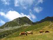 Passo Tartano e Laghi di Porcile il 18 agosto 2012 - FOTOGALLERY